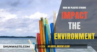 Plastic Straws' Environmental Impact: Harmful Effects and Sustainable Alternatives