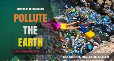 Plastic Straws: A Global Pollution Problem