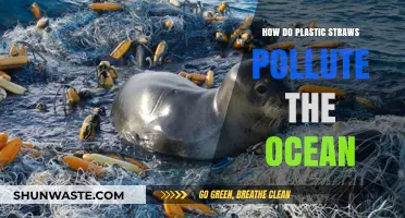 Plastic Straws: Ocean Polluters in Disguise