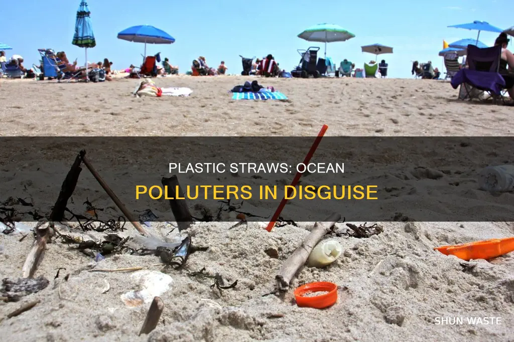 how do plastic straws pollute the ocean