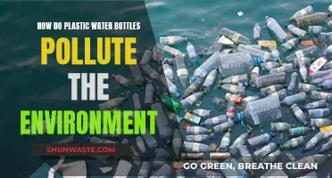 Plastic Bottles: Environmental Hazards Unveiled