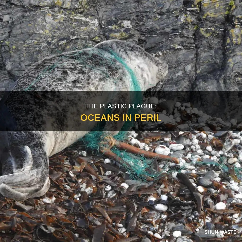 how do plastics pollute oceans