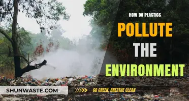 Plastics' Environmental Impact: A Growing Global Concern
