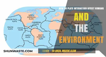 Plate Tectonics' Impact: Human Lives and Ecosystems at Risk