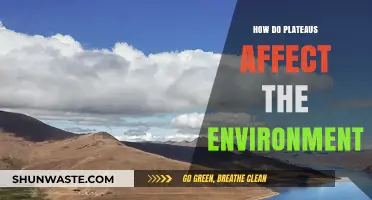 Plateaus' Environmental Impact: Shaping Ecosystems, Climate, and Biodiversity