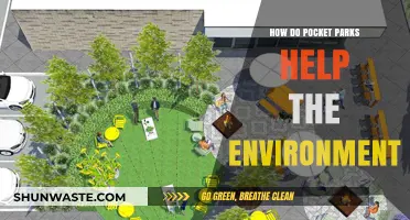 Pocket Parks: Small Green Spaces, Big Environmental Benefits Explained