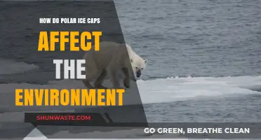 Polar Ice Caps: Their Crucial Role in Shaping Earth's Environment