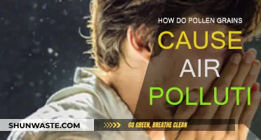 Pollen's Impact: Unveiling the Hidden Air Pollutant