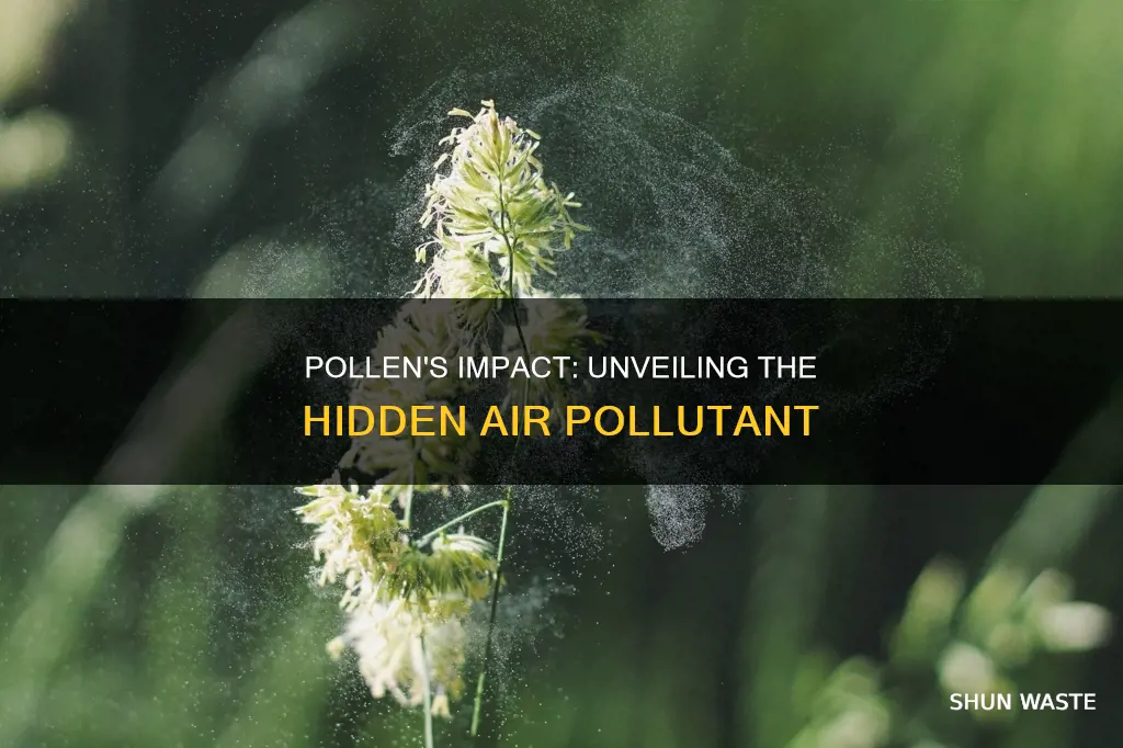 how do pollen grains cause air pollution