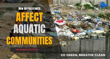 Aquatic Communities: Pollutants' Impact and Devastating Effects