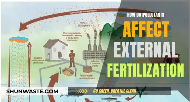 Pollution's Impact on External Fertilization: A Harmful Relationship