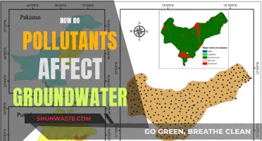 Groundwater Pollution: Understanding the Impact of Contaminants