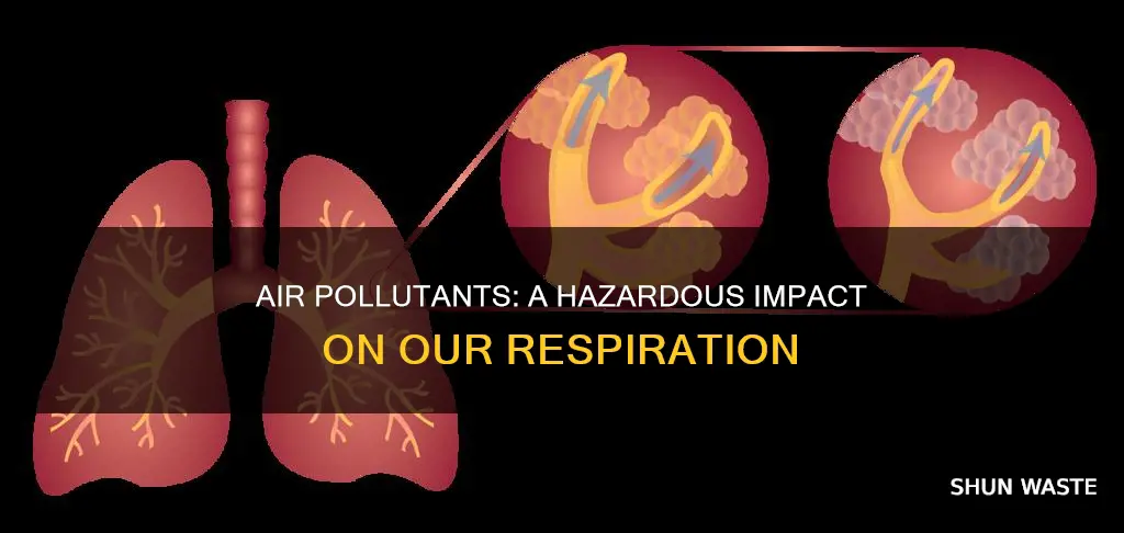 how do pollutants affect respiration