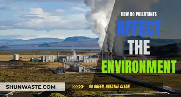 Pollution's Impact: Understanding Environmental Threats