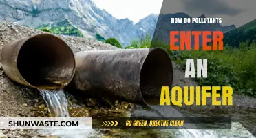 Sources of Aquifer Pollution: Understanding Contaminant Entry Points