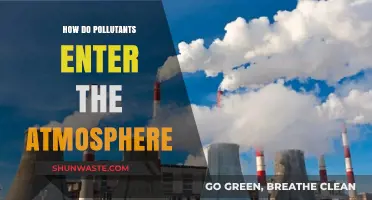 The Air We Breathe: Pollutants' Journey