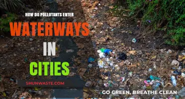 Urban Waterway Pollution: Sources and Solutions