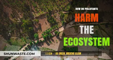 Pollution's Harmful Impact on Nature's Balance
