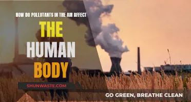 Air Pollutants: Harmful Effects on the Human Body