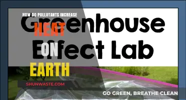 The Impact of Pollutants on Earth's Rising Heat