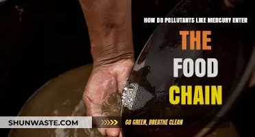 Mercury's Toxic Journey: Entering the Food Chain