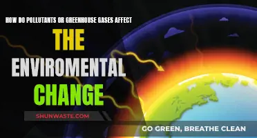 Greenhouse Gases: Environmental Change Accelerants