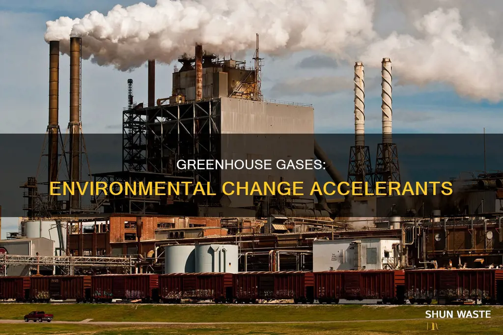 how do pollutants or greenhouse gases affect the enviromental change