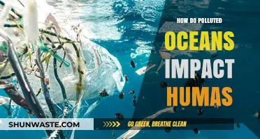 Ocean Pollution: Its Impact on Human Health and Well-being