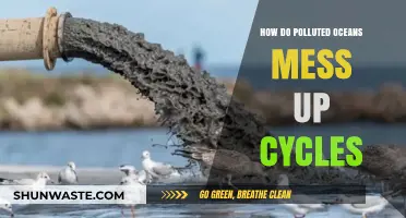 Ocean Pollution: Disrupting Nature's Cycles
