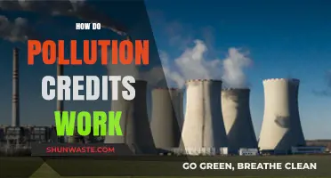 Understanding Pollution Credits: A Market-Based Solution