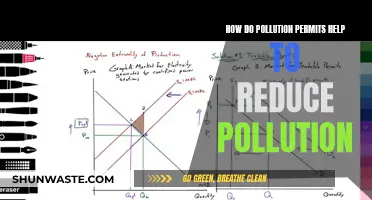 Pollution Permits: Reducing Pollution, Saving the Planet