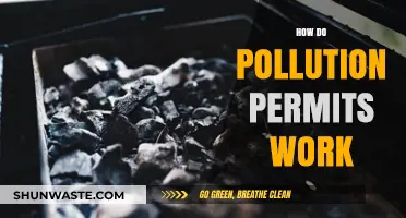 Understanding Pollution Permits: How Do They Work?