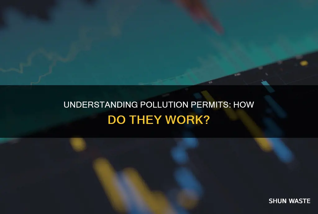 how do pollution permits work