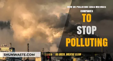 Pollution Taxes: Incentivizing Companies to Stop Polluting