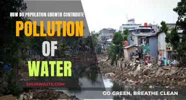 Population Boom: The Hidden Cost of Water Pollution