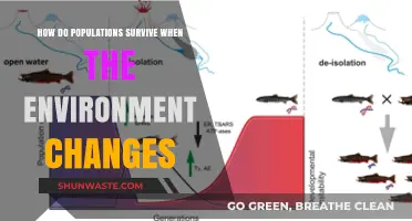 Adapting to Survive: Strategies for Populations in Changing Environments
