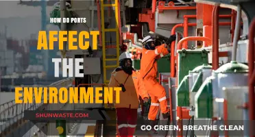 Environmental Impact of Ports: Pollution, Wildlife, and Ecosystem Disruption