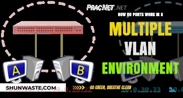 Understanding Port Functionality in Multi-VLAN Network Environments