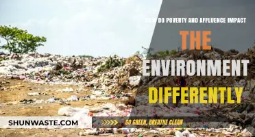 Poverty vs. Affluence: Contrasting Environmental Impacts and Sustainability Challenges