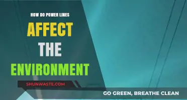 Power Lines' Environmental Impact: Effects on Wildlife, Ecosystems, and Climate