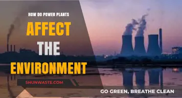 Power Plants' Environmental Impact: Pollution, Wildlife, and Climate Change