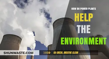 Power Plants' Surprising Environmental Benefits: Clean Energy and Beyond