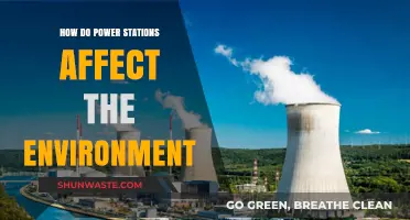 Power Stations' Environmental Impact: Pollution, Wildlife, and Climate Change Concerns