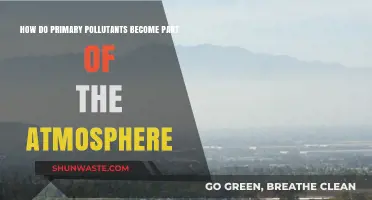 The Atmosphere's Primary Pollutant Sources