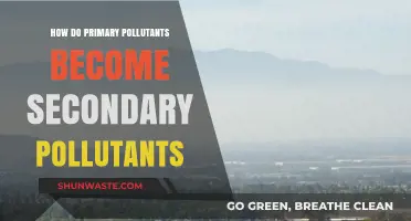 Primary Pollutants Transform: Understanding Secondary Pollution