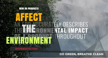 Products' Environmental Impact: Understanding Their Effects on Our Planet
