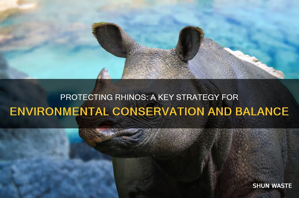 how do protecting rhinos help the environment