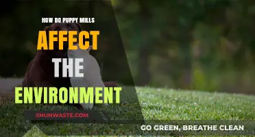 Puppy Mills' Environmental Impact: Pollution, Waste, and Ecosystem Destruction Explained