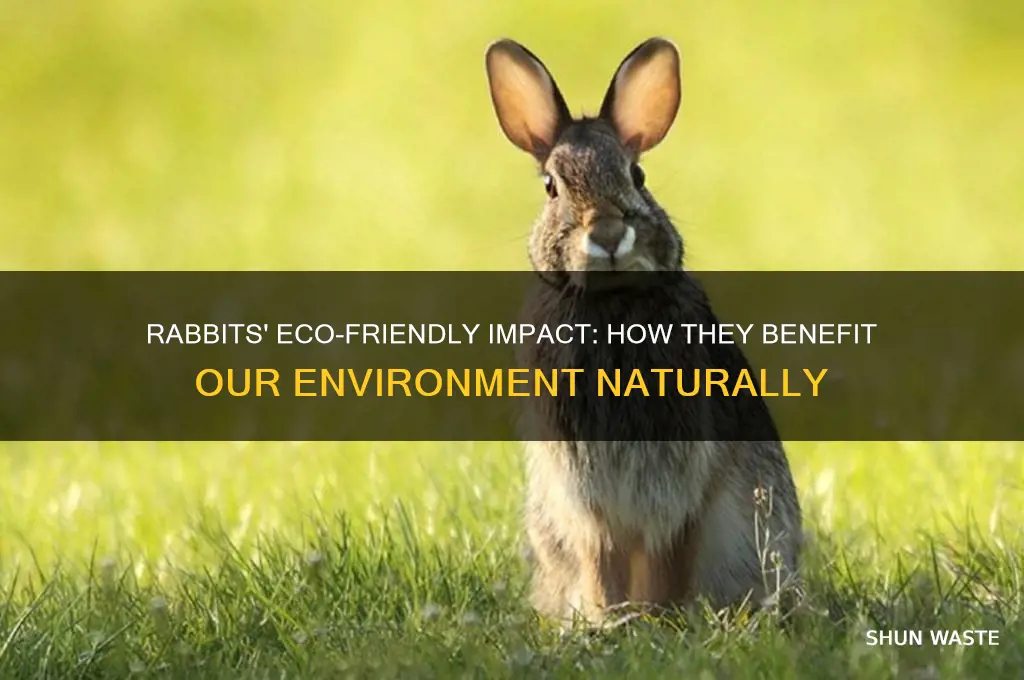Rabbits' Eco-Friendly Impact: How They Benefit Our Environment ...
