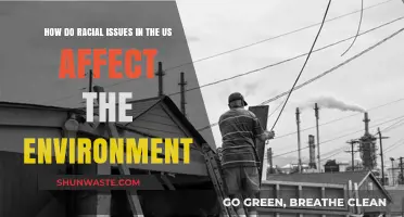 Racial Inequality's Impact: Environmental Justice and Systemic Disparities in America